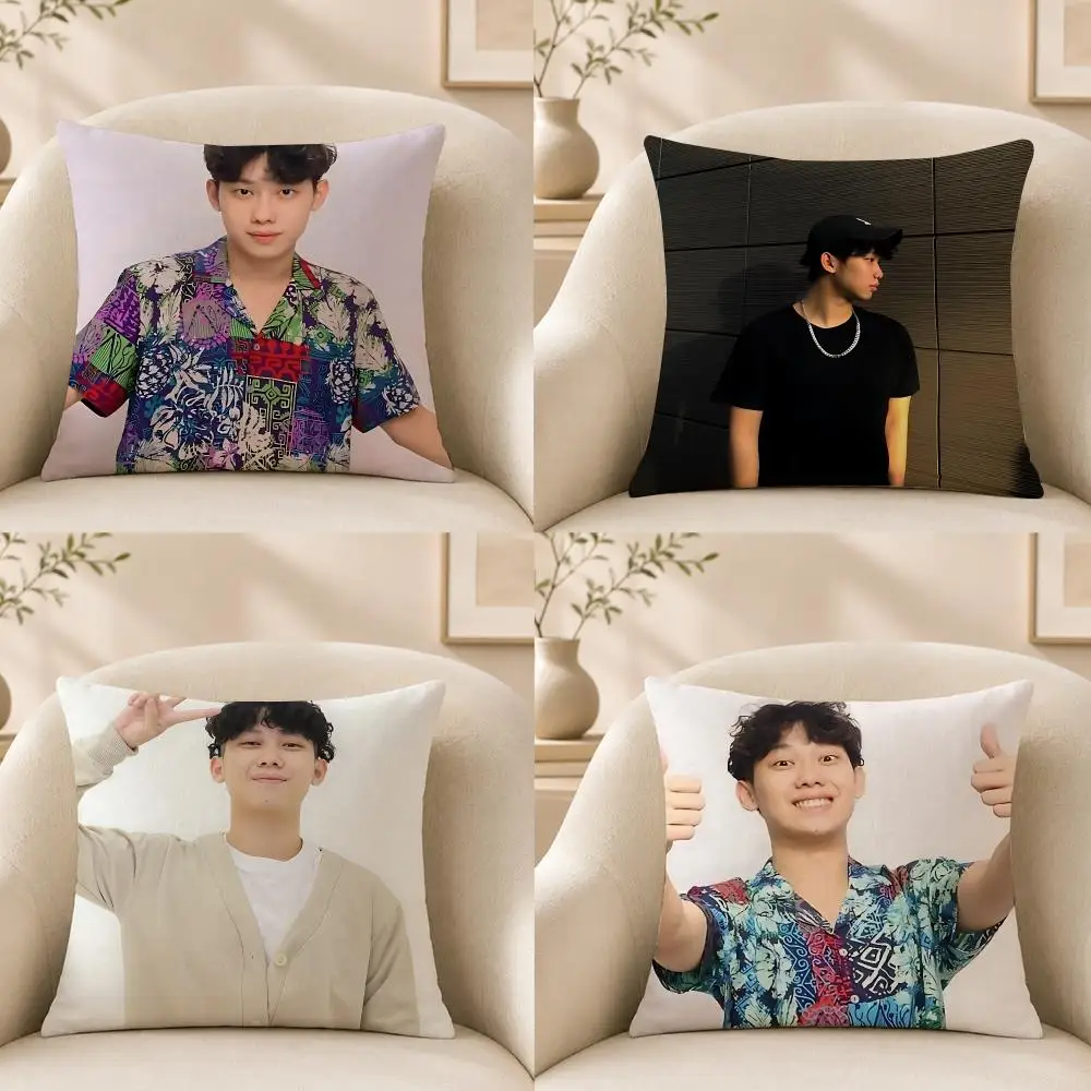 Influencer W-Willie Salim Cushion Cover Short‑plush Cushion Cover,Breathable,Skin‑friendly,Washable,room Sofa Decor Gift