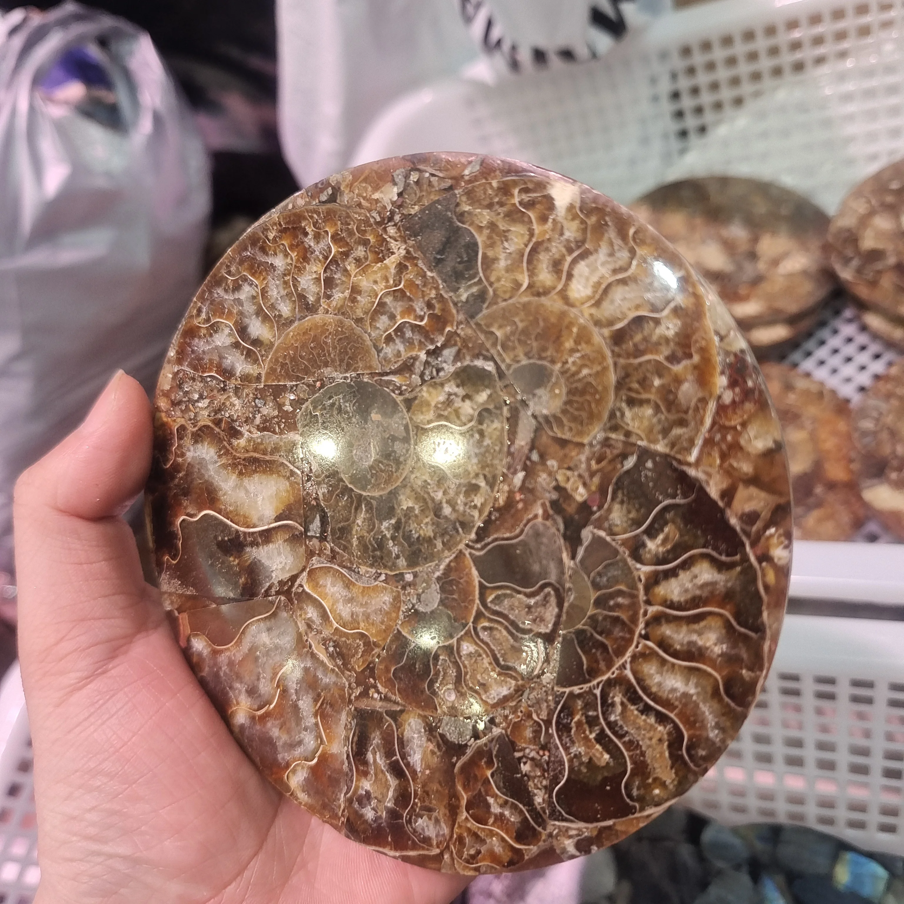 12-13cm Beautiful Ammonite Fossil Slice Plate MADAGASCAR FOSSIL SPECIMEN HEALING Fashion Home Decoration +bracket