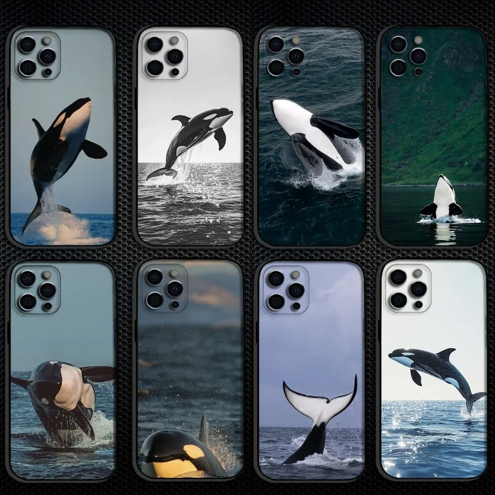 

killer whale Phone Case For iPhone 16,15,14,13,12,11 Plus,Pro Max, Soft Silicone Black Cover