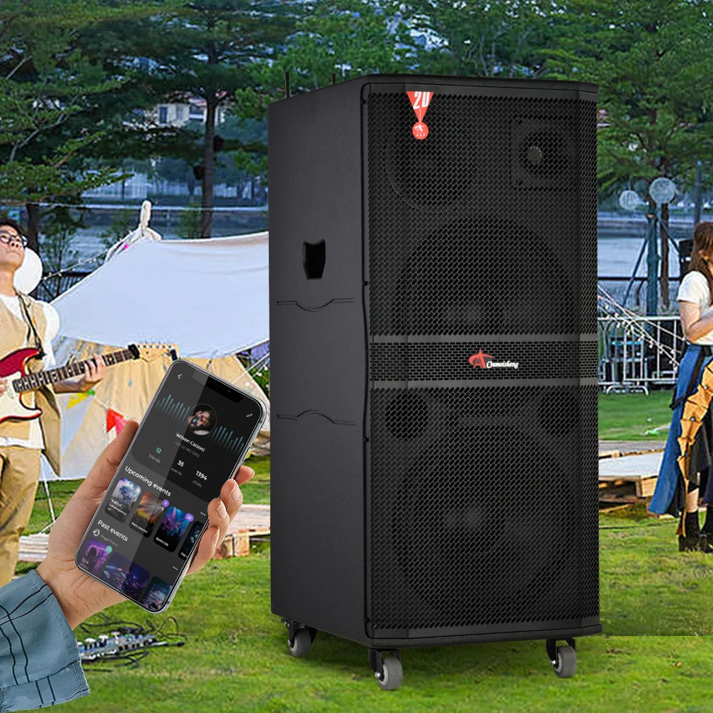 Oumeisheng Dj Partybox 1000W Subwoofer Alto-falante de 12 polegadas Alto-falante de alta potência