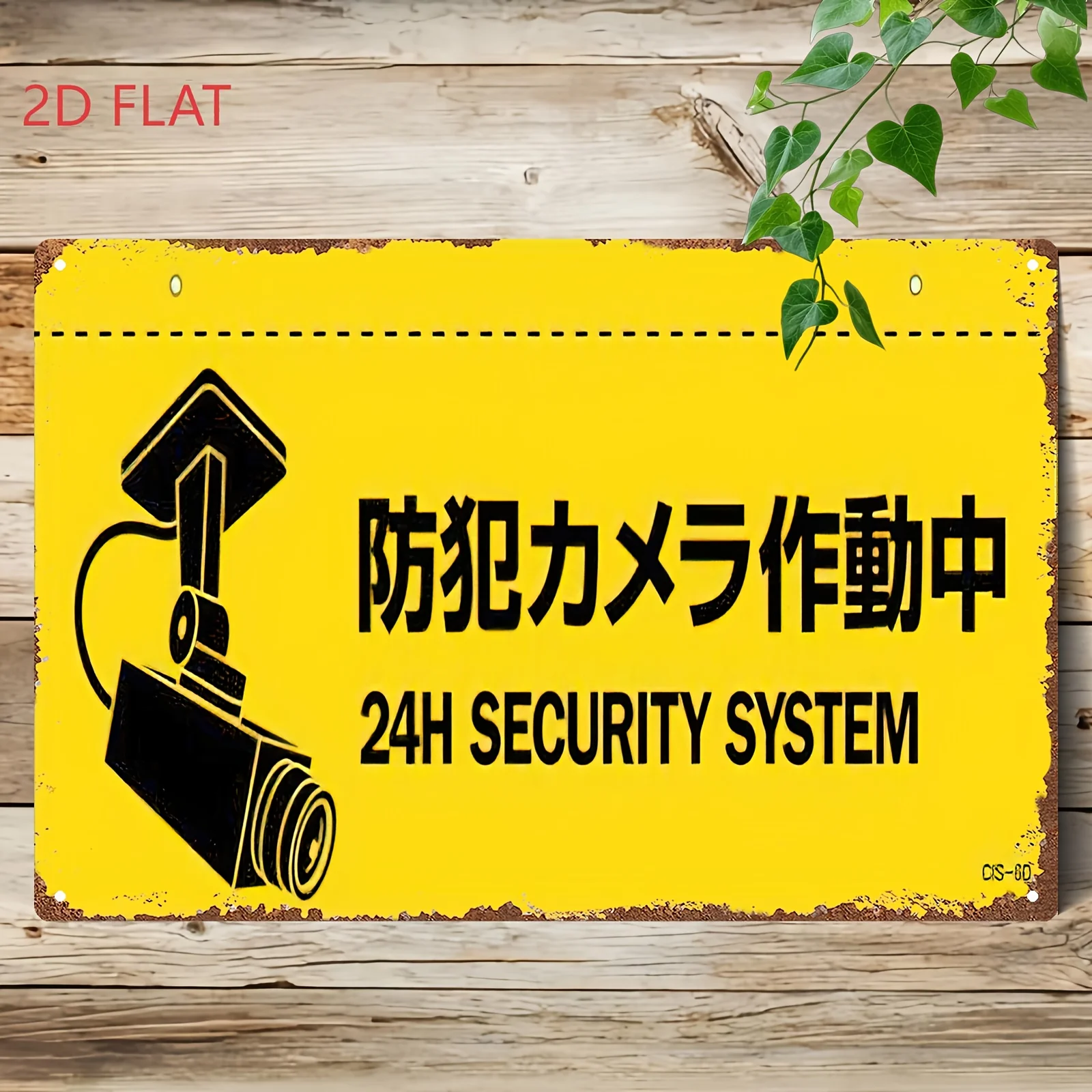 2D Flat Two-Dimensional Metal Sign Featuring a 24-Hour Security Camera Design, .This Vintage-Style Plaque Serves As Wall Art