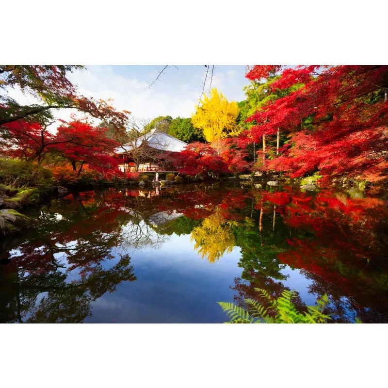 

Tiy For Peugeot 208 301 Citroen C3 1607512680 Car Rearview Mirror Turn Signal Light Rear View Mirror Indicator light Lamp Cover