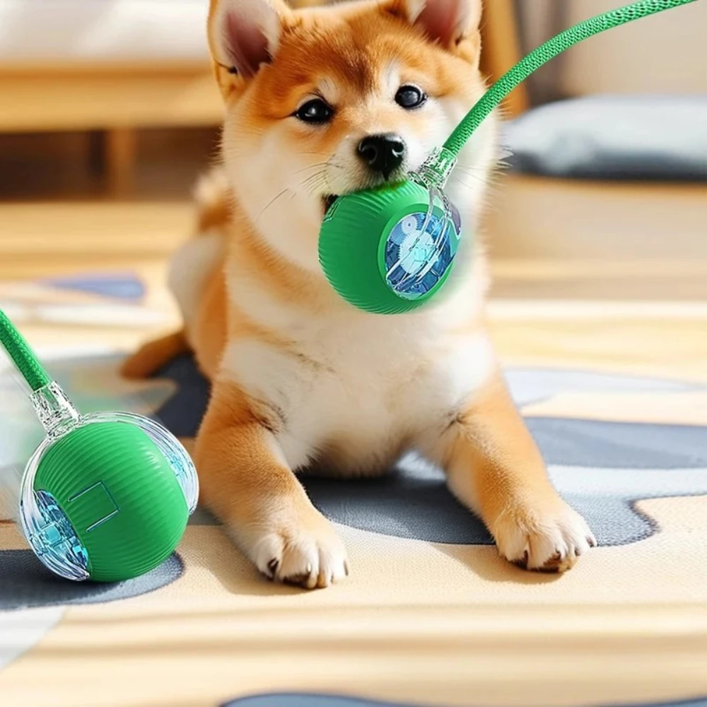 Smart Dog Ball Toys USB Charging Electronic Interactive Automatic Rolling Balls for Dog Cats Puppy Kitten Simulated Tail Toys