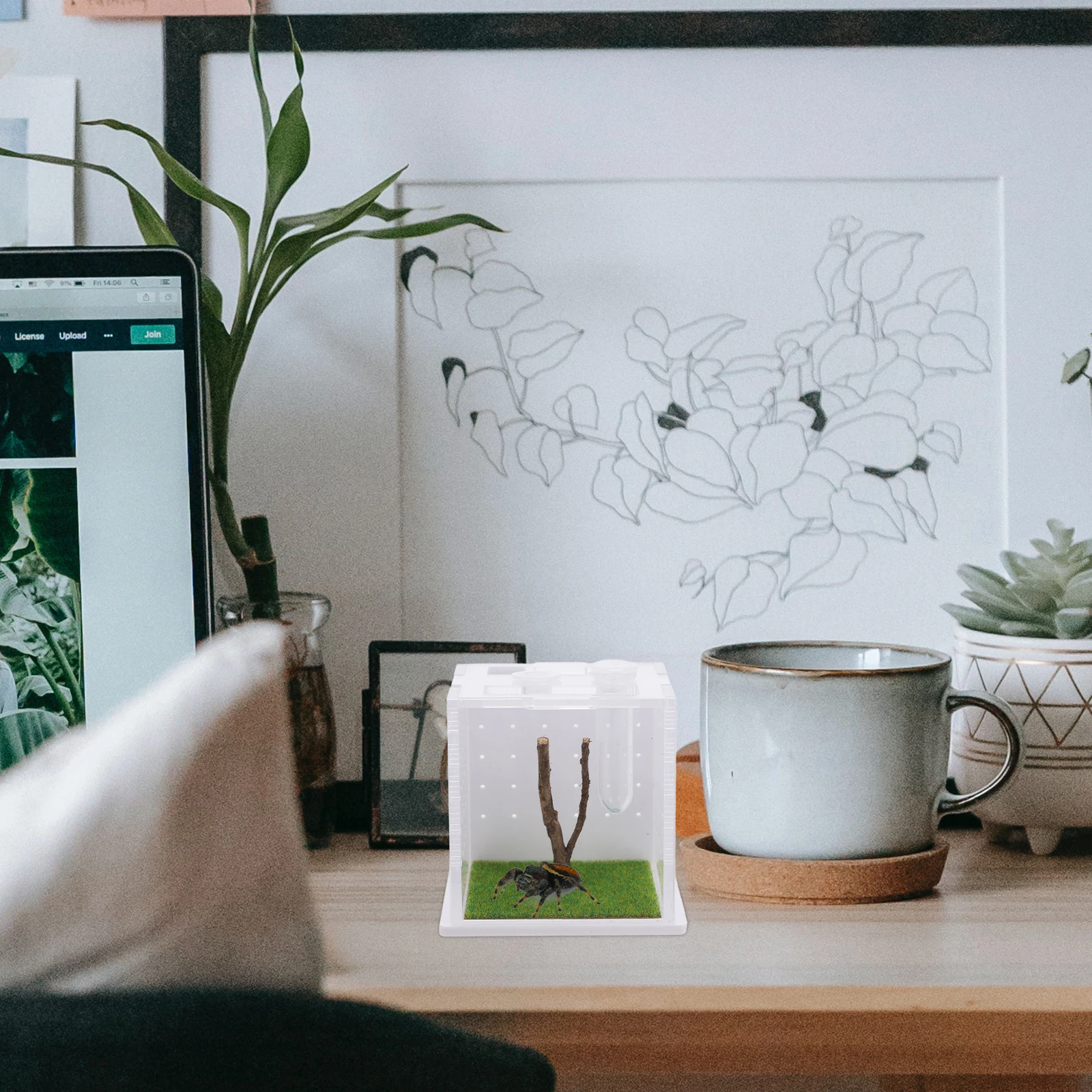 Jumping Spider Terrarium Breeding Box Portable Cage Pet Supplies Reptile Container Feeding Case InsectBox Small Bugs