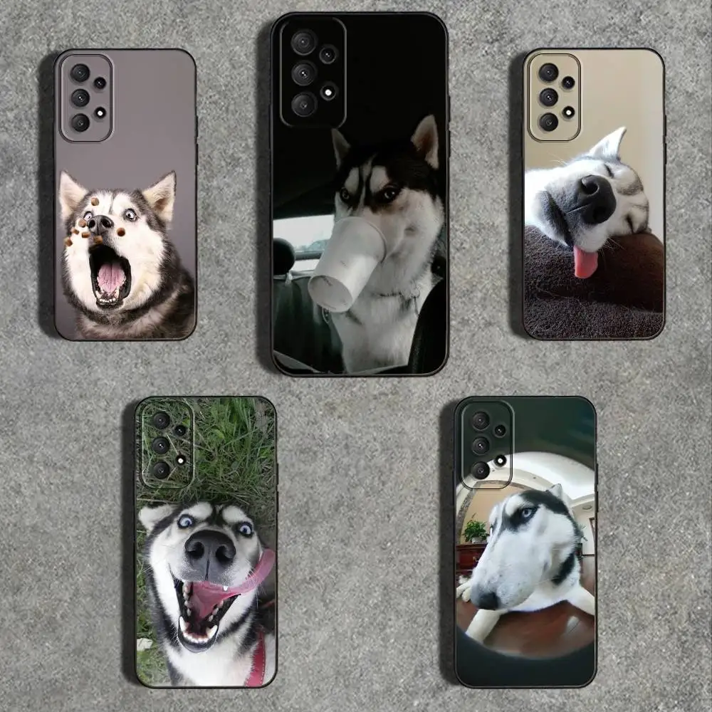 حافظة لهاتف سامسونج جالاكسي A73,31,32,72,41,53,52,71,22,5G,Note,J7,8,9 غطاء أسود ناعم