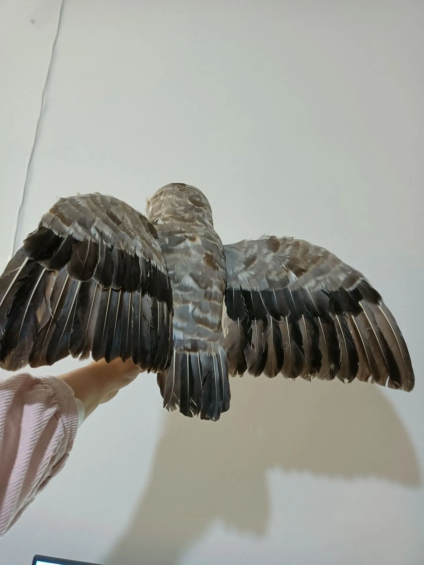 Large Gray Night Owl Model Simulation Foam And Feather Wings Garden Decoration Gift Approximately 32x60cm