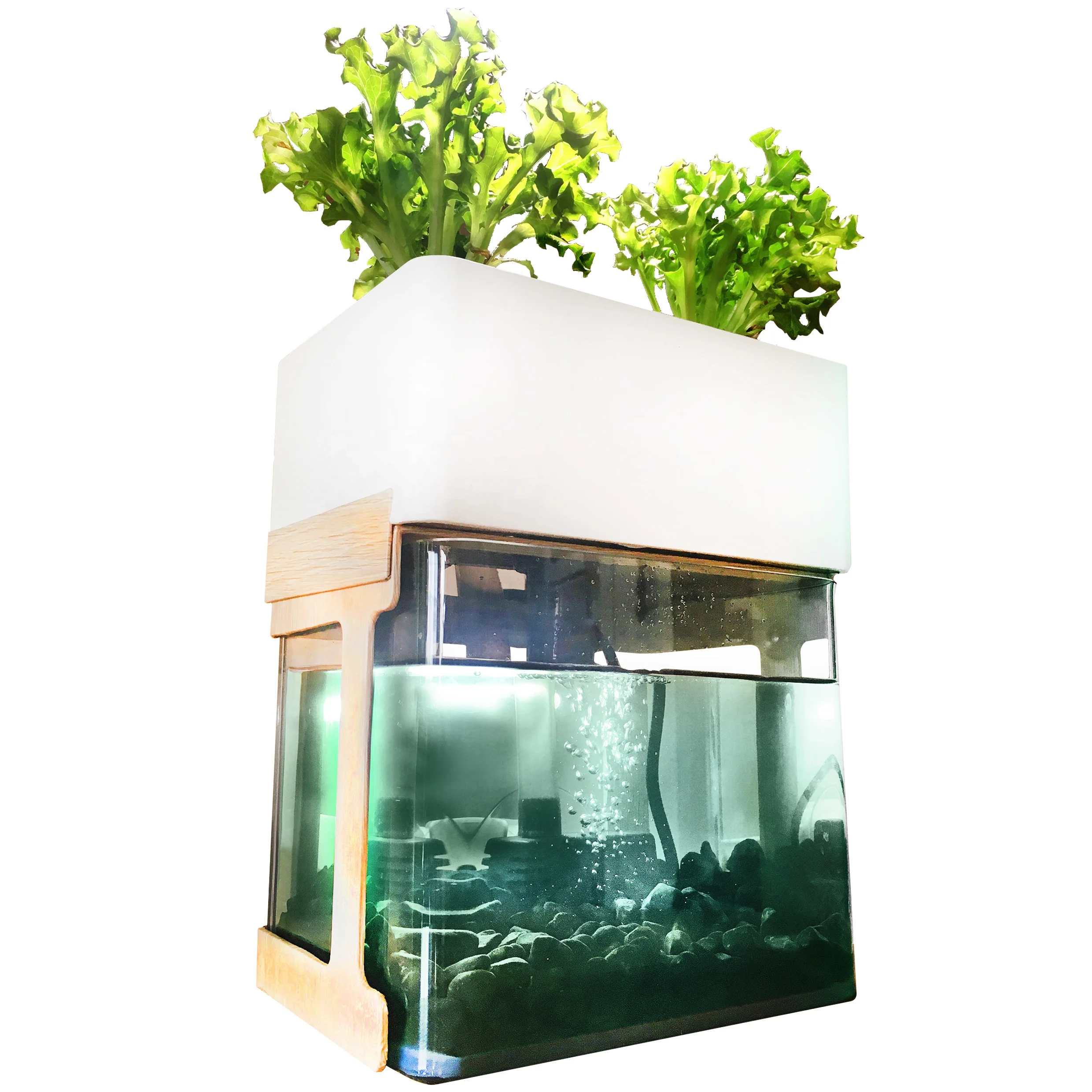 Garden and Home Decor Aquaponics Growing Systems Mini Hydroponics Fish Tank Plant (size: small)