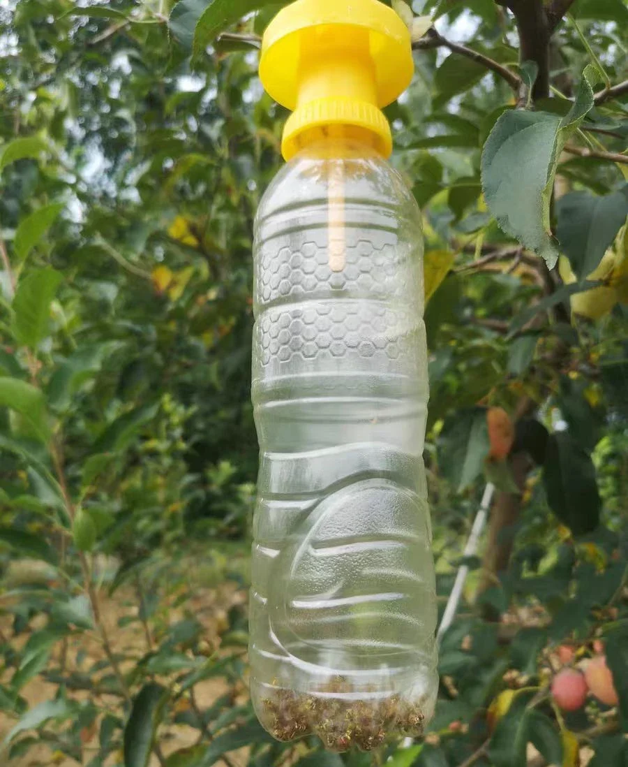 Simple fruit fly trap cover. For orchards and melon fields. Traps fruit flies. With attractants and medicine.