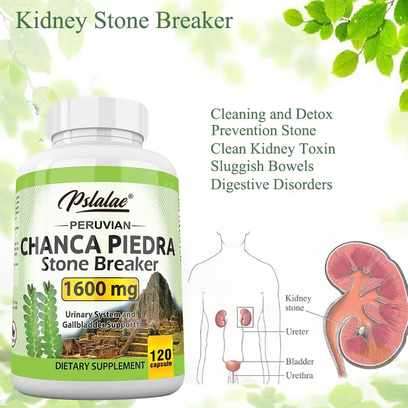 Chanca Piedra Capsules 1600mg - Kidney Stone Crushing, Urinary Tract Support, Non-GMO