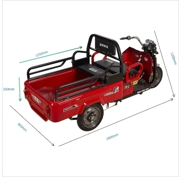 High Quality New 3C Approved Wanhoo Cargo Tricycle Cc 250 Tricycle Cargo Electric Tricycle