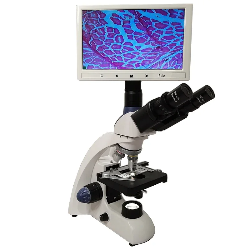 7 inch China LED light  video biological lcd microscope/microscope with lcd screen