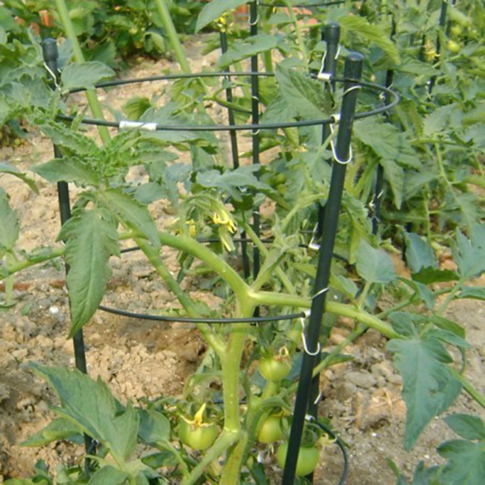 강철 + 플라스틱 식물 지원 지원 토마토 녹 방지 스탠드 격자 45cm 케이지 등반 꽃 프레임 정원 식물