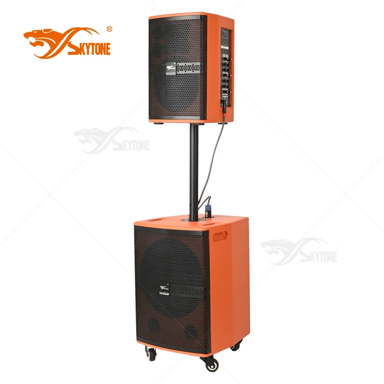 

Skytone Combined Portable Multifunctional Instrumental Peormance Outdoor with blueteeth Professional Speaker