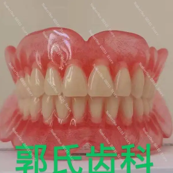 Full senior teeth, full tooth models, display supplies, full dentures, movable teeth, removable dentures