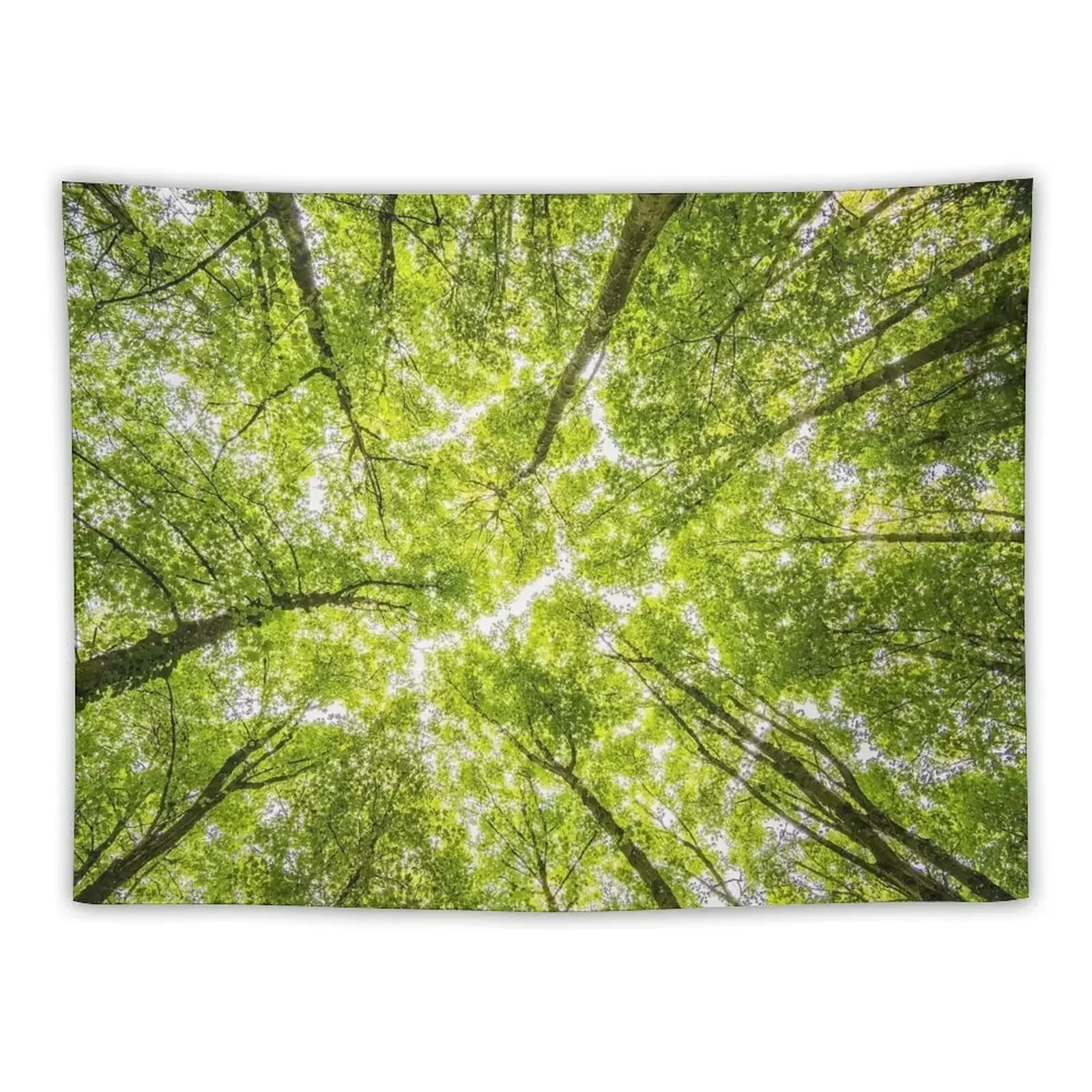 

CANOPY VIEW Tapestry Room Decor Aesthetic Nordic Home Decor Tapestry