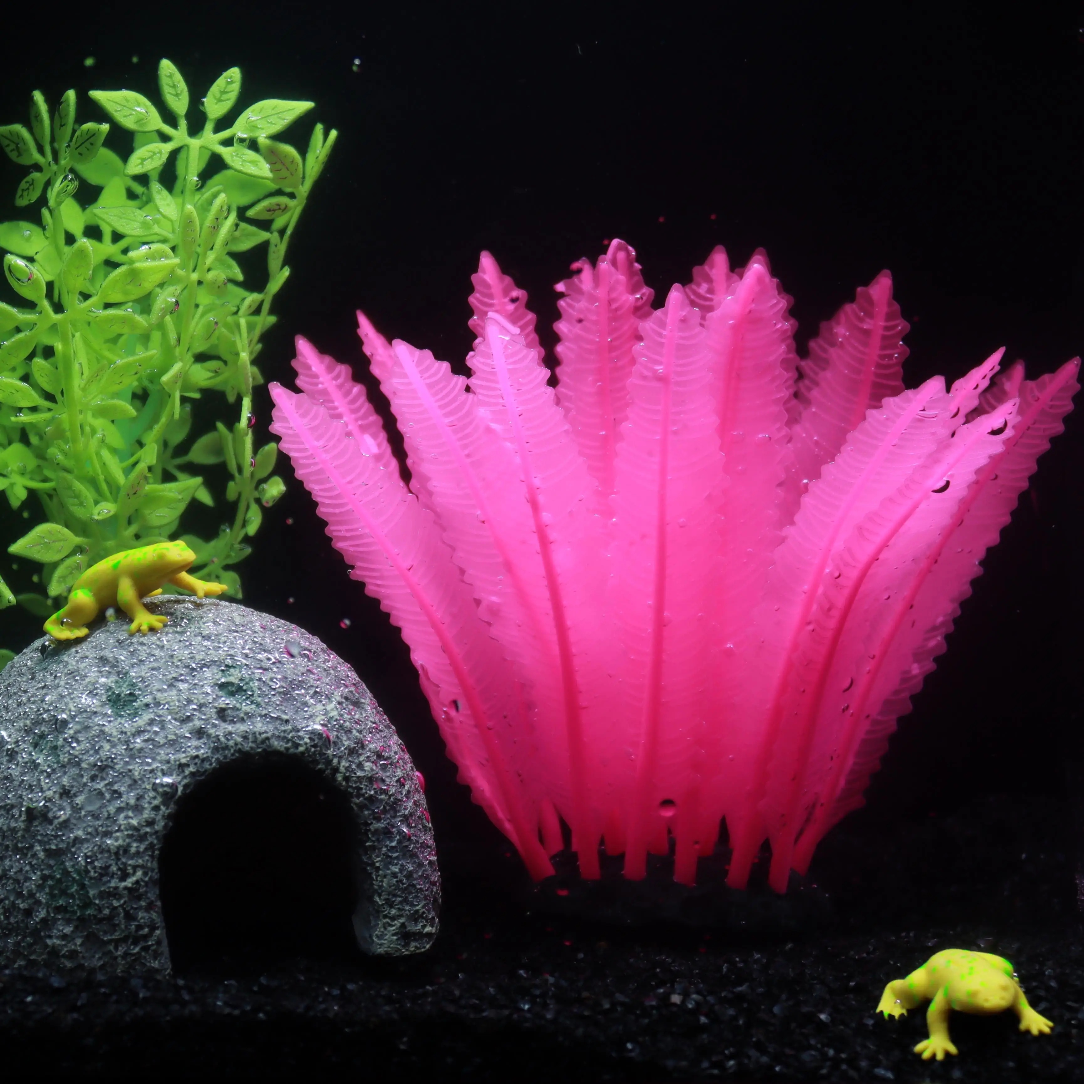 1 個のシリコン水生植物水装飾、樹脂ベース、無毒で無公害、水 - Non Planted Aquarium Fish のレビューと価格