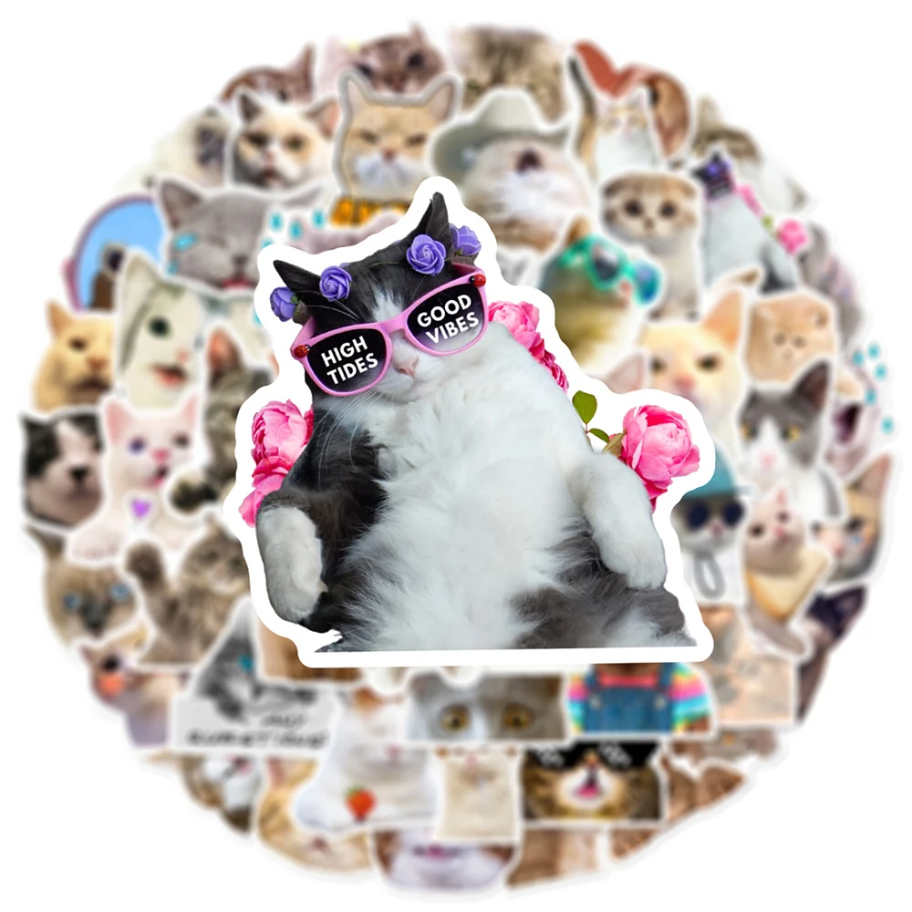 10/30/50 Stück Niedliche Tier-Katzen Lustige Kätzchen MEME Graffiti-Aufkleber für Skateboard Gitarre Scrapbook Laptop Dekoration Aufkleber Sticker