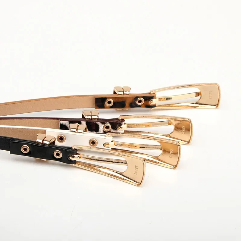 Mode Luipaardprint Riemen voor Dames Zomer Dunne PU Riemen Rok Jas Decoratieve Riemen Dameskleding Accessoires