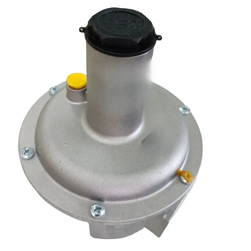 

Pressure Regulating Valve FG1B25 Italy