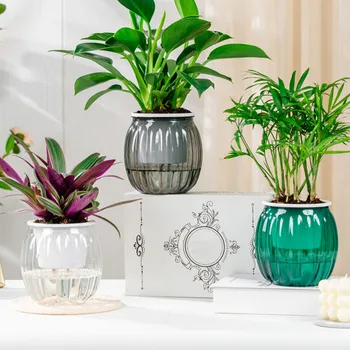 Clear Self Watering Planters Pots Modern Transparent Plants Care Pots for Garden…