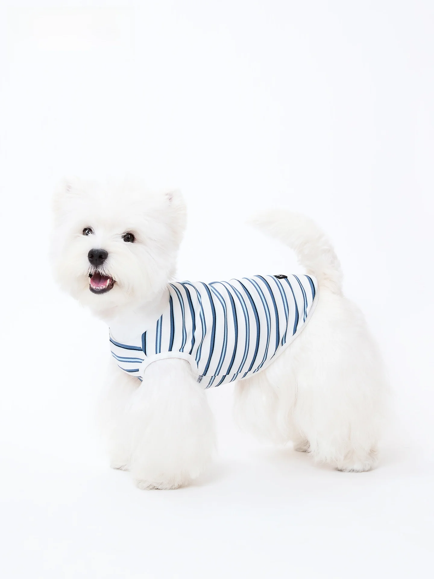 koki-pet-vest-striped-base-layer-outdoor-home-breathable-two-sleeve-small-medium-dog-clothing-polyester-spandex-cotton-blend