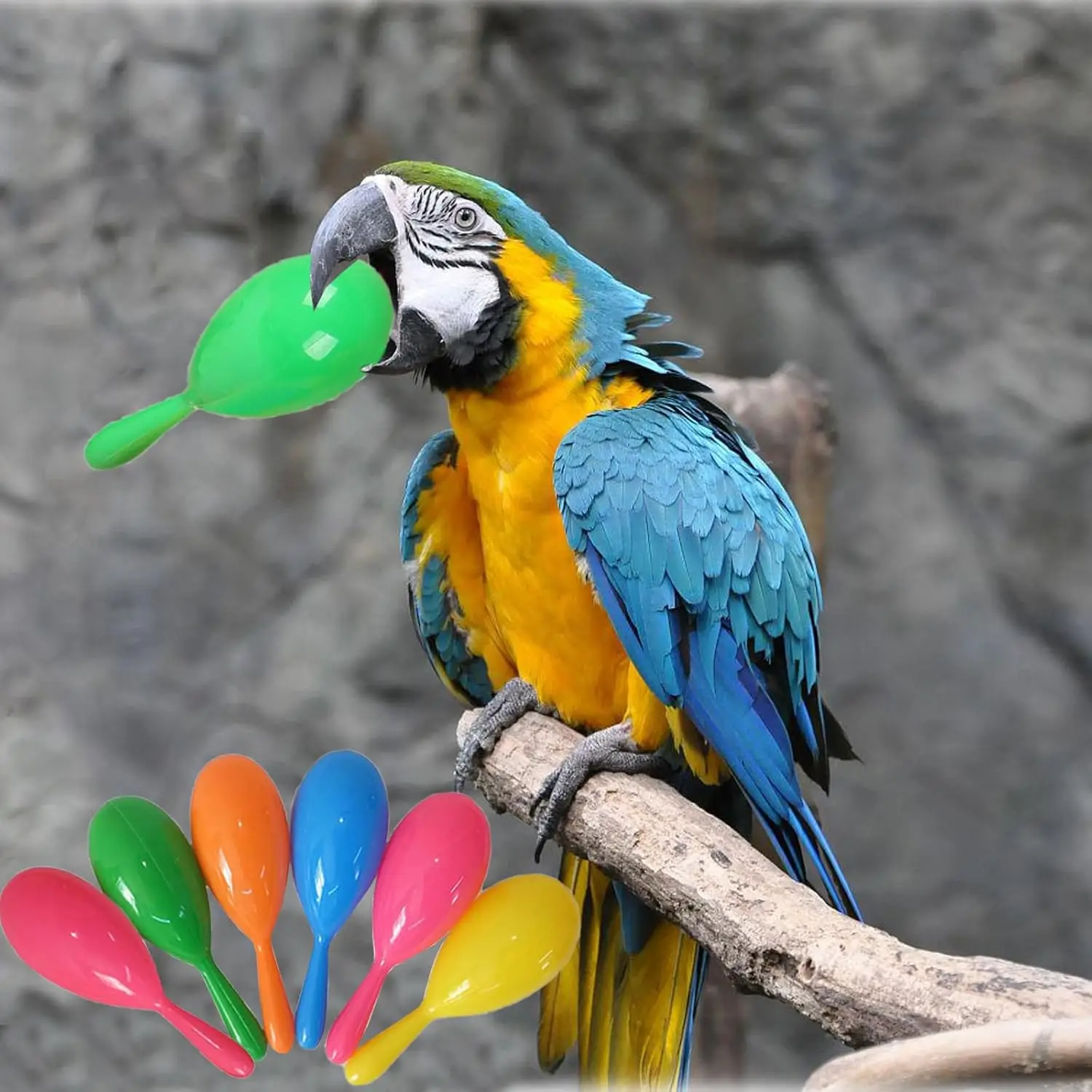 

10/5/2pcs Bird Toys Parrot Rattle Bell Sand Hammer Maracas Bird Bite Wisdom Interactive Training Toy Pet Bird Toys Color Random