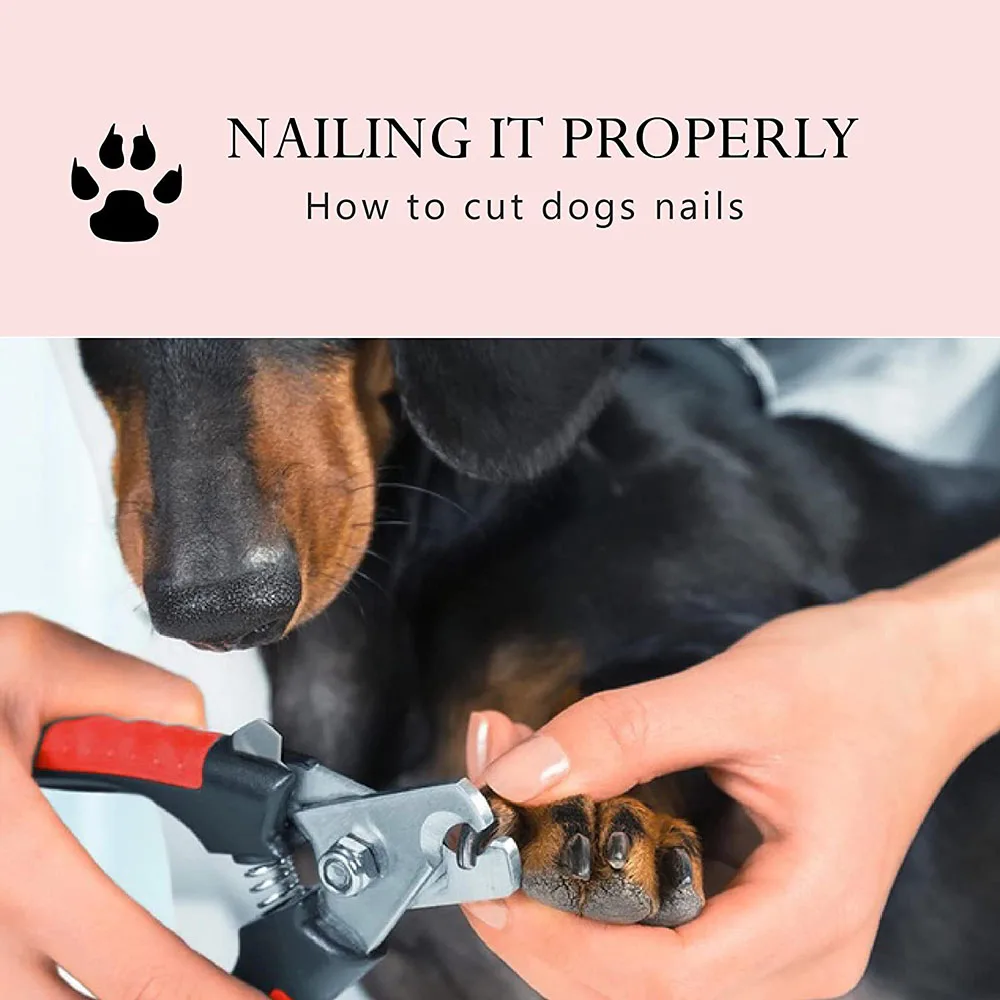 Dog Nail Clippers Dog Nail Trimmers for Large Dogs Quick Sensor Pet Cat Nail Clippers with Safety Guard to Avoid Over-Cutting