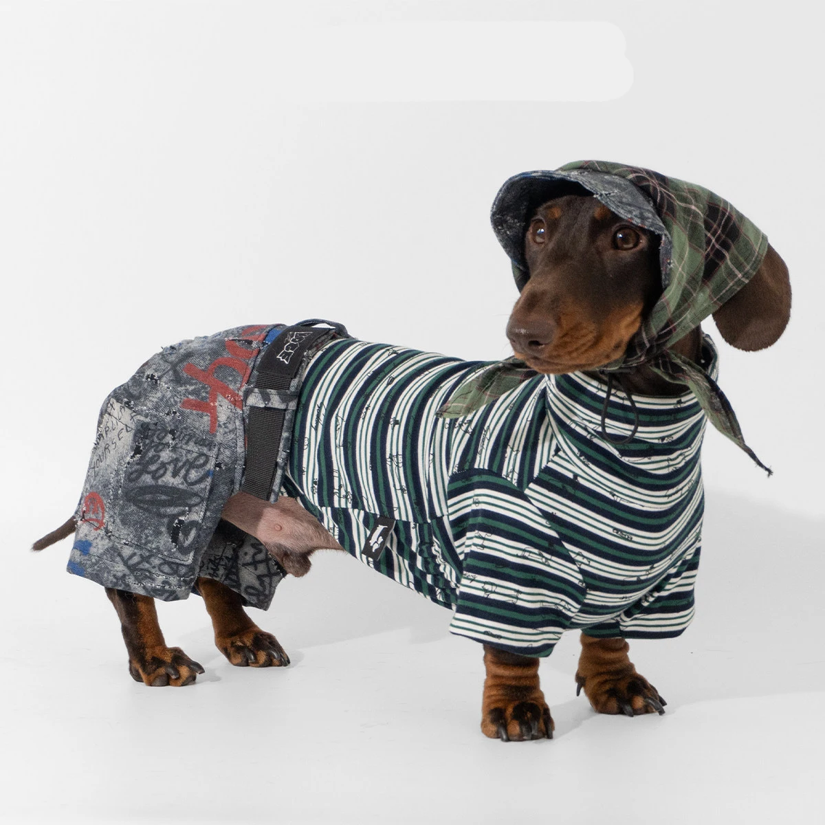 ensemble-tendance-3-pieces-pour-chiens-teckel-chapeau-raye-gris-fonce-avec-echarpe-assortie-et-jean-graffiti-pour-chiens-saucisses