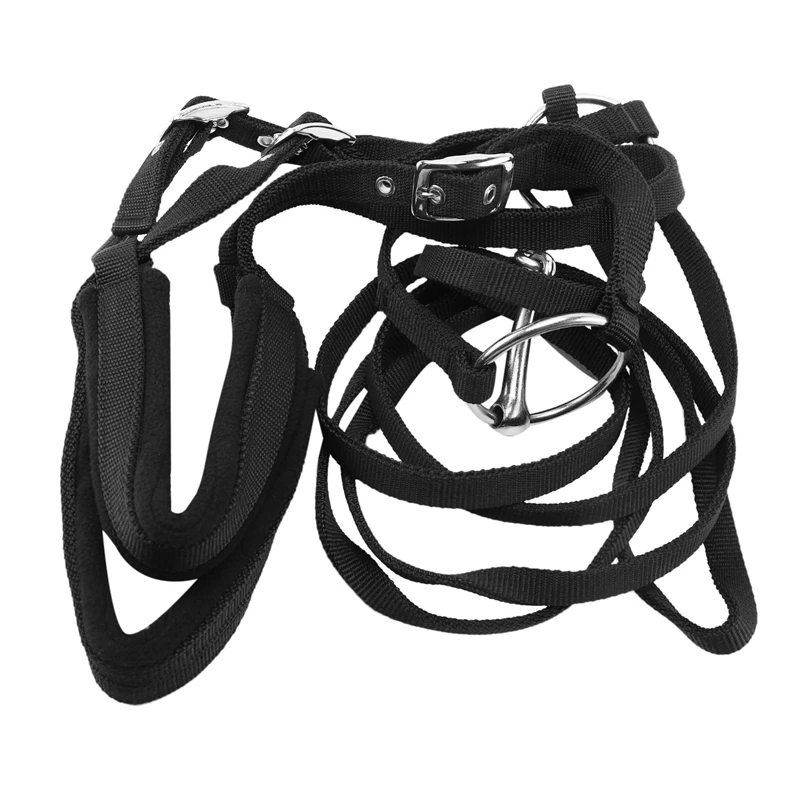 Equipo de equitación ajustable, brida de caballo Halter con broca y cinturón, accesorios ecuestres, suave y grueso, grande