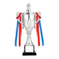 Silver with Lid