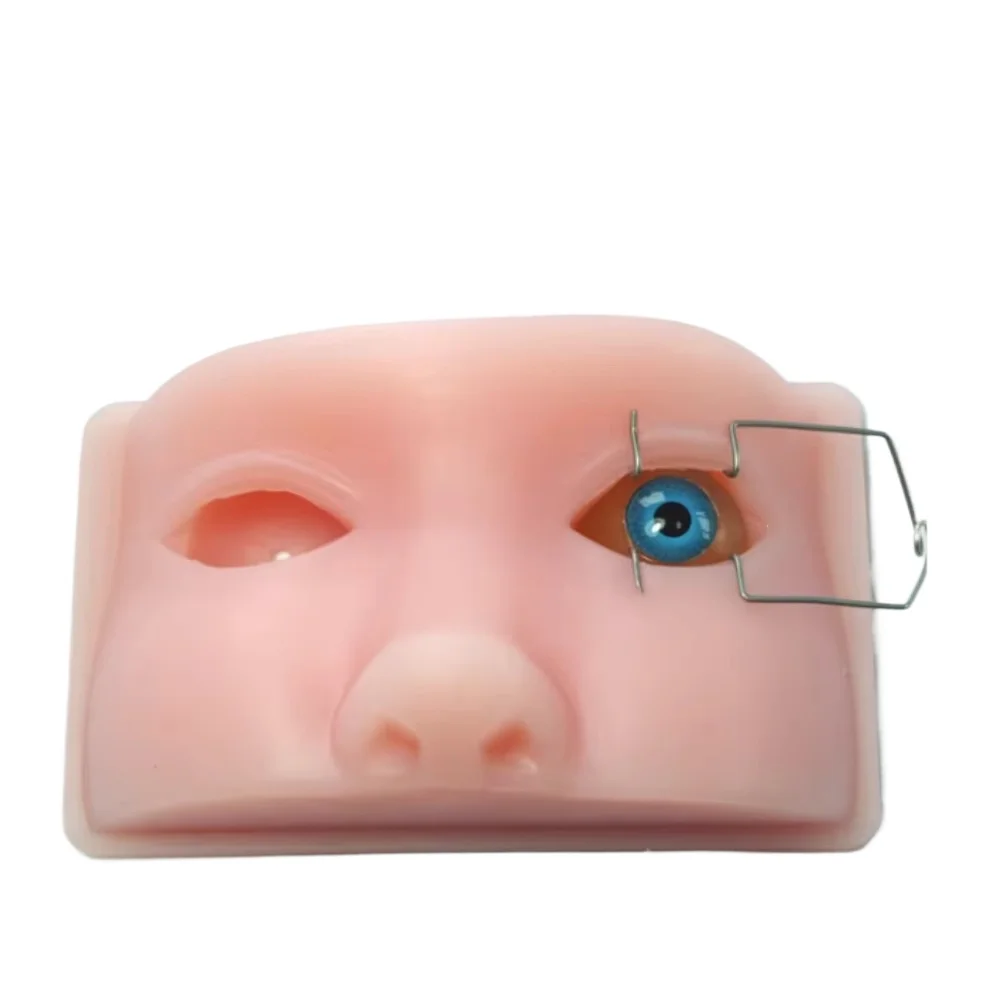 Teaching of Silica Gel Orbital Training Model Using Medical Model