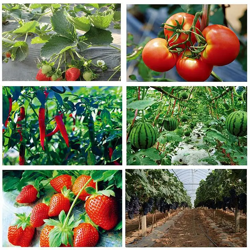 20250.8m x 900m 두께 0.015mm 정원용 검정색 반사 필름 온실 비닐 멀칭 농업용 잡초 방지 보온 필름