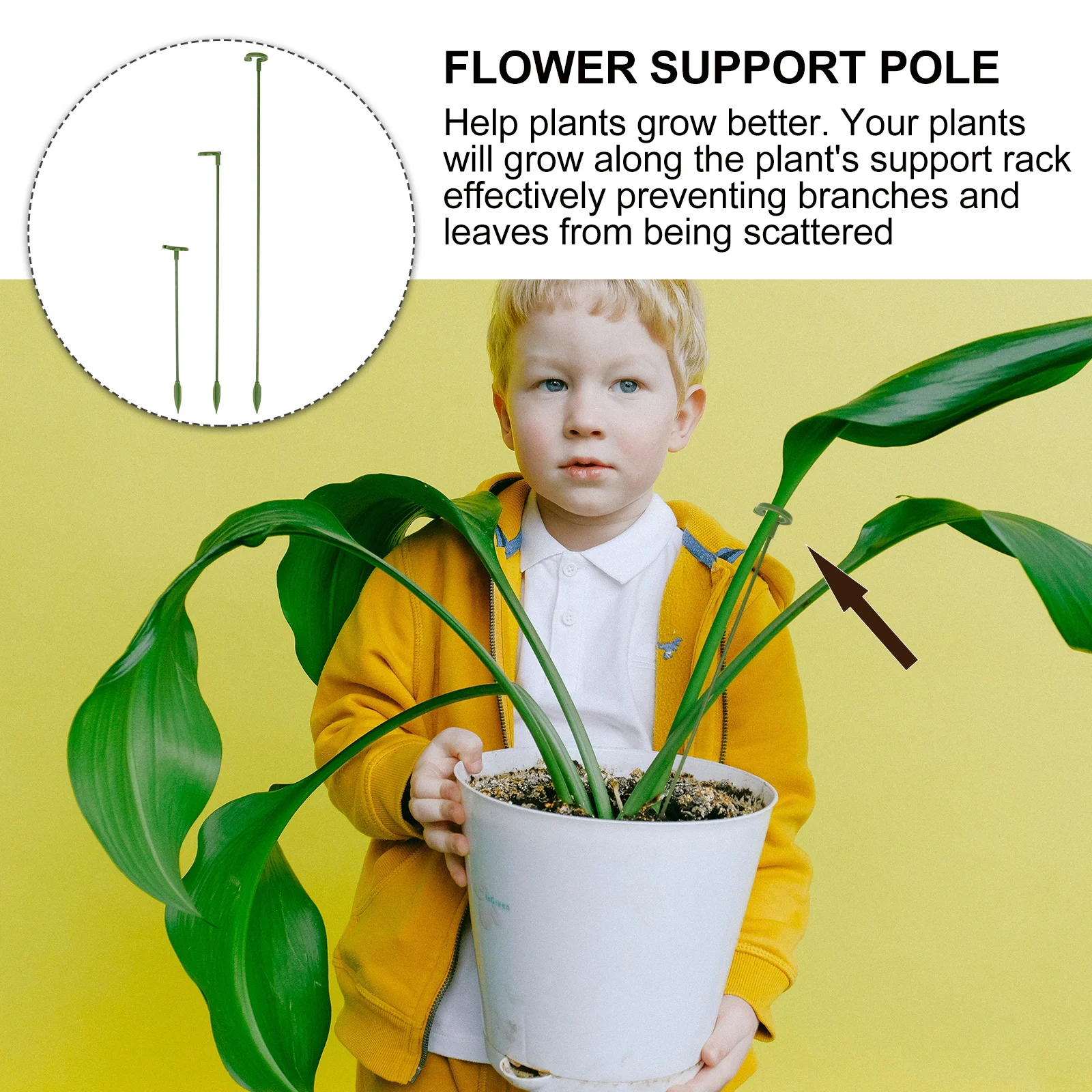 

30pcs Plant Support For Indoor Small Potted Plants Rods Anti-Lodging Multi-Function Fixed Stand Gardening Supplies