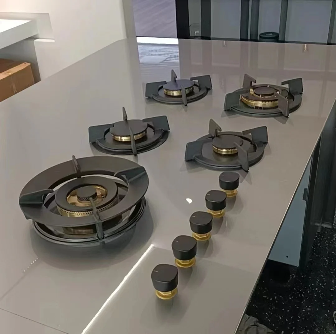 

Export Foreign Trade West Pacific Household Appliances Multi-head 5/3/2 Heads Rock Slab Integrated Gas Stove Model XT-201A