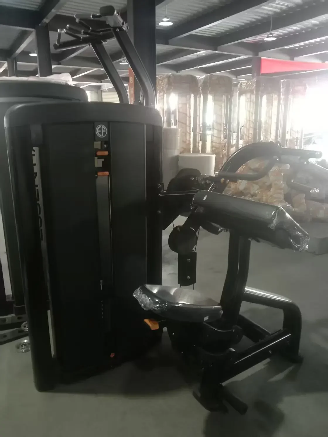 Newly Upgraded Fitness Equipment Dual Function Bicep Curl/Tricep Extension Machine
