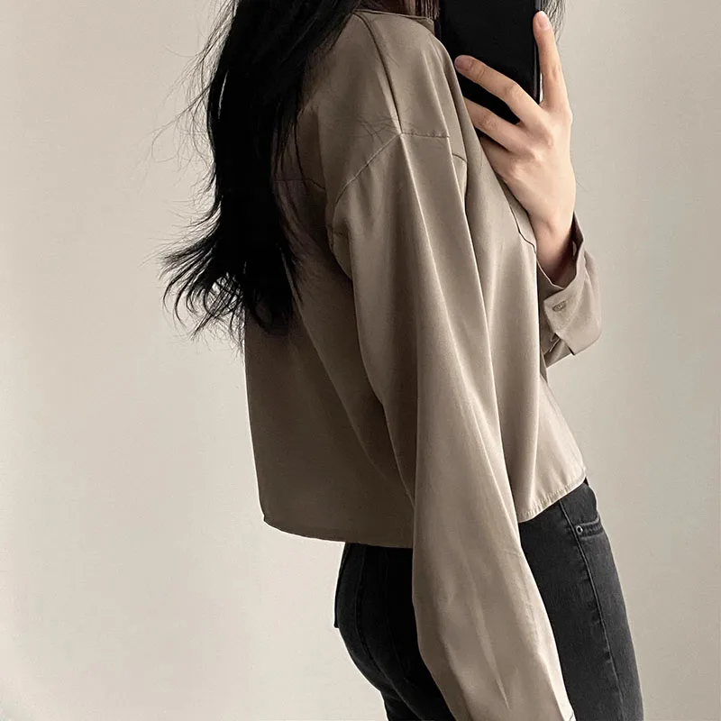 Simple Single Breasted Loose Casual Solid Long Sleeved Shirt And Blouse Office Lady Trend Short Top Simple Elegant White Clothes