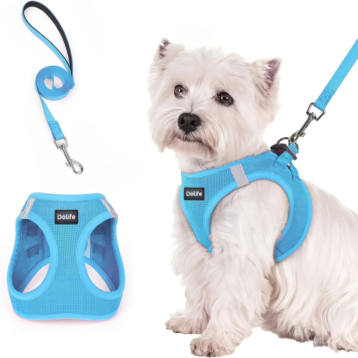 Step-In Dog Harness & Leash Set, Breathable Mesh, Reflective, Lightweight Vest for Small Dogs & Puppies