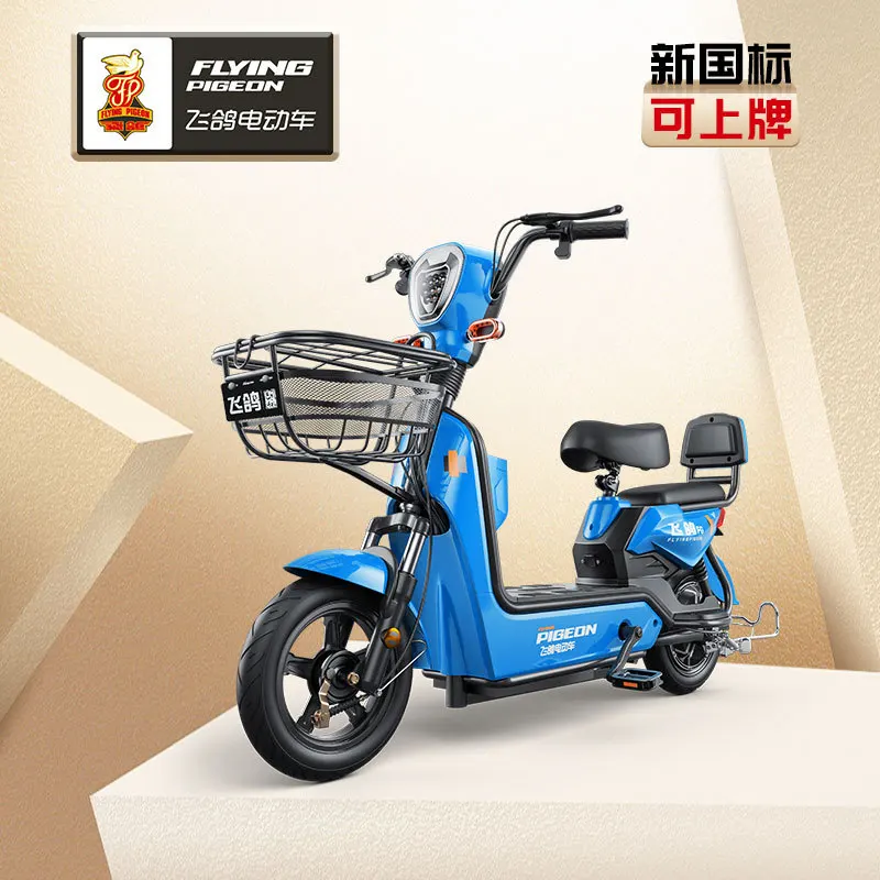 

LTT electric vehicle 48V lithium battery car electric bicycle