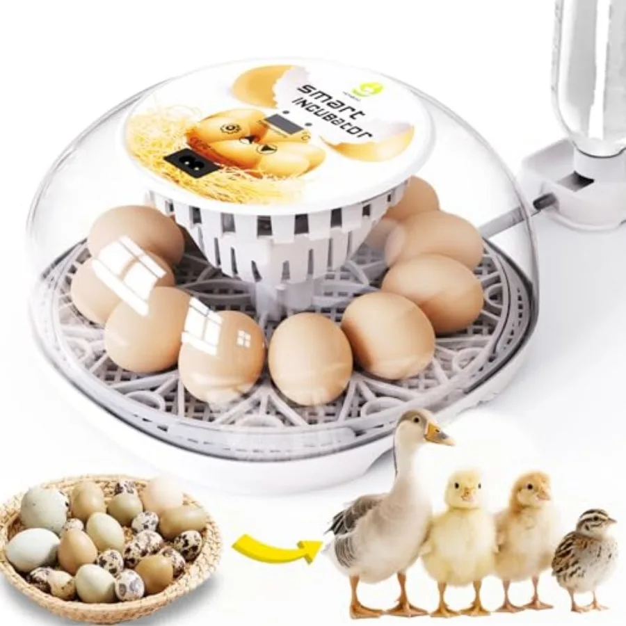 

Инкубаторы для яиц: инкубатор для выведения куриных яиц с автоматическим переворотом и контролем температуры (C)