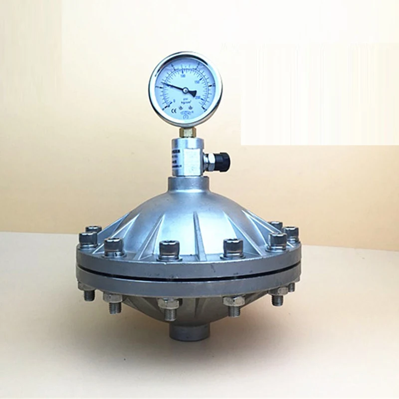 Stainless Steel 304 Pulse Damper Diaphragm Pulse Damper Buffer for High Temperature Water Medium