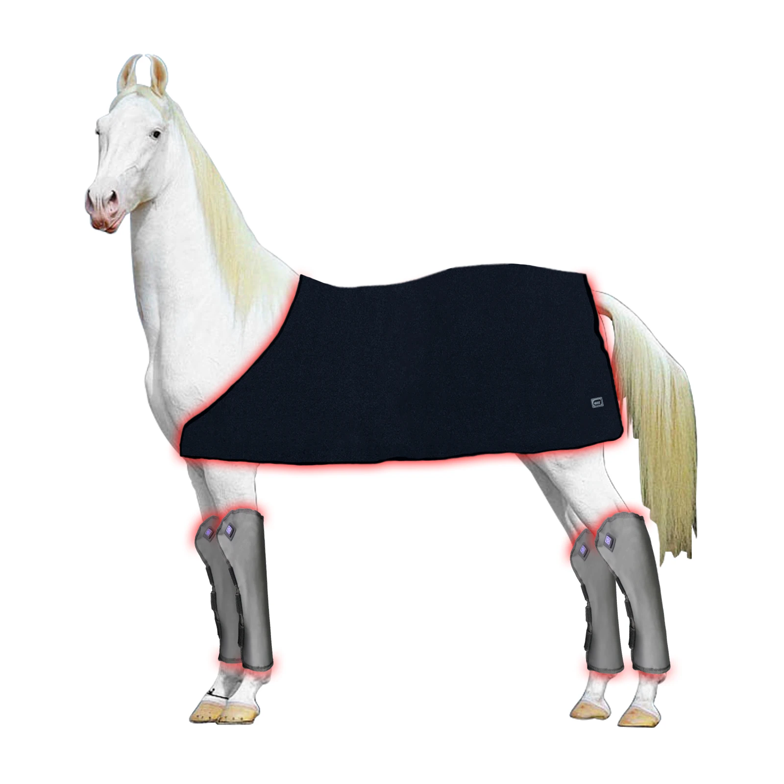 Red Light Horse Back Therapy Blanket Head, Legs