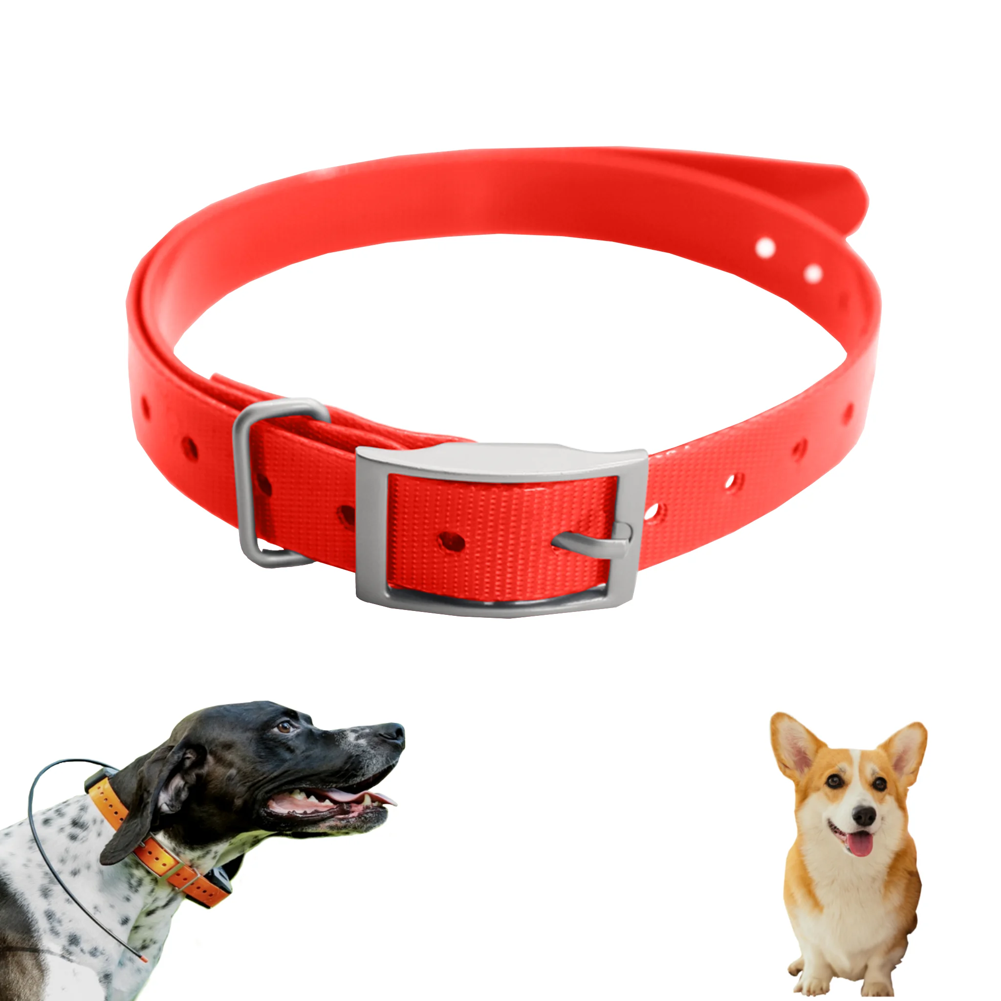 Thumbnail 4 - #21 Ranked Adjustable Pet Collars Picks in 2026