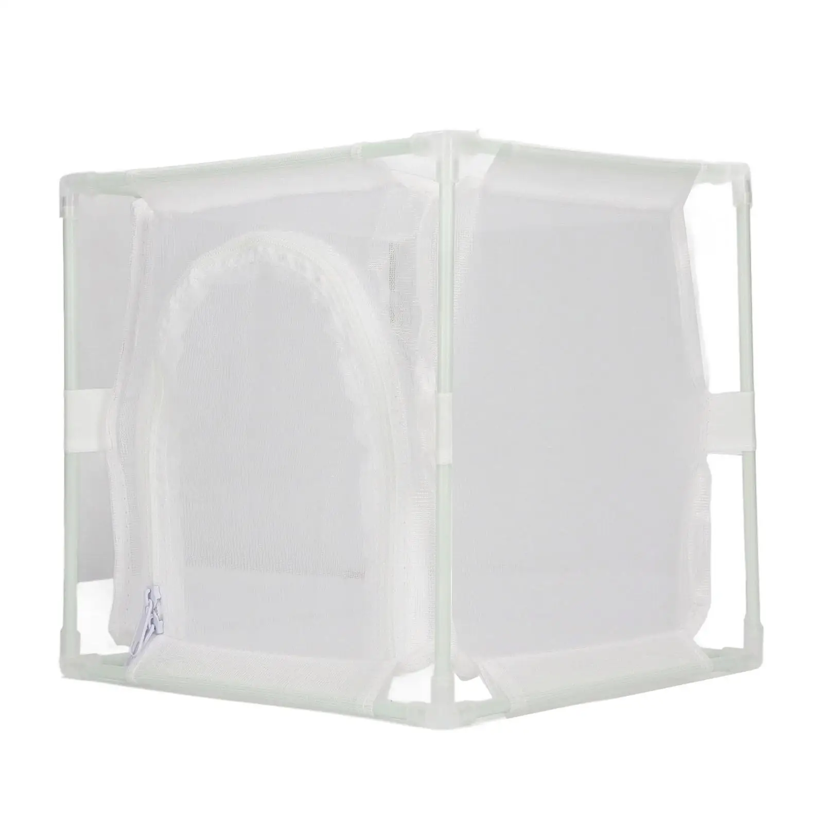 Durable  Mesh Insect Observation Cage for Cicadas  Small Creatures