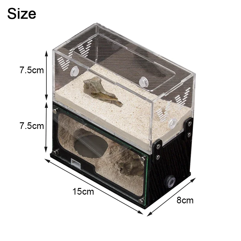 Concrete Ant Farm with Decorate Root Ant Nest Unlimited Vertical Expansion Anthill Ant House Insect Workshop Ant Kennel Castle