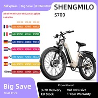 DYU King-750 Mountain Electric Bike, Brushless Motor, 20Ah Battery, Range 80 km, 45 km/h, Max Speed, 48V, 750W, 26 inches,