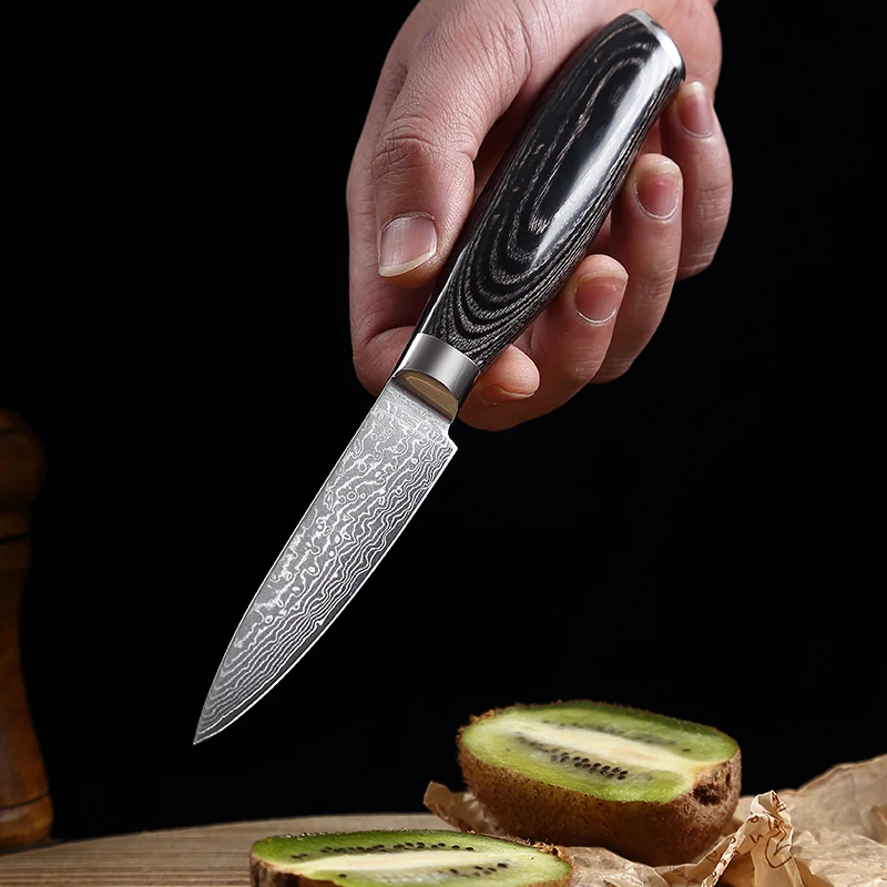 

TJ POP 3.5 Inch Paring Knife VG10 67 Layer Damascus Steel Fruit Knife Pakkawood Handle Sharp Utility Slicing and Peeling knife