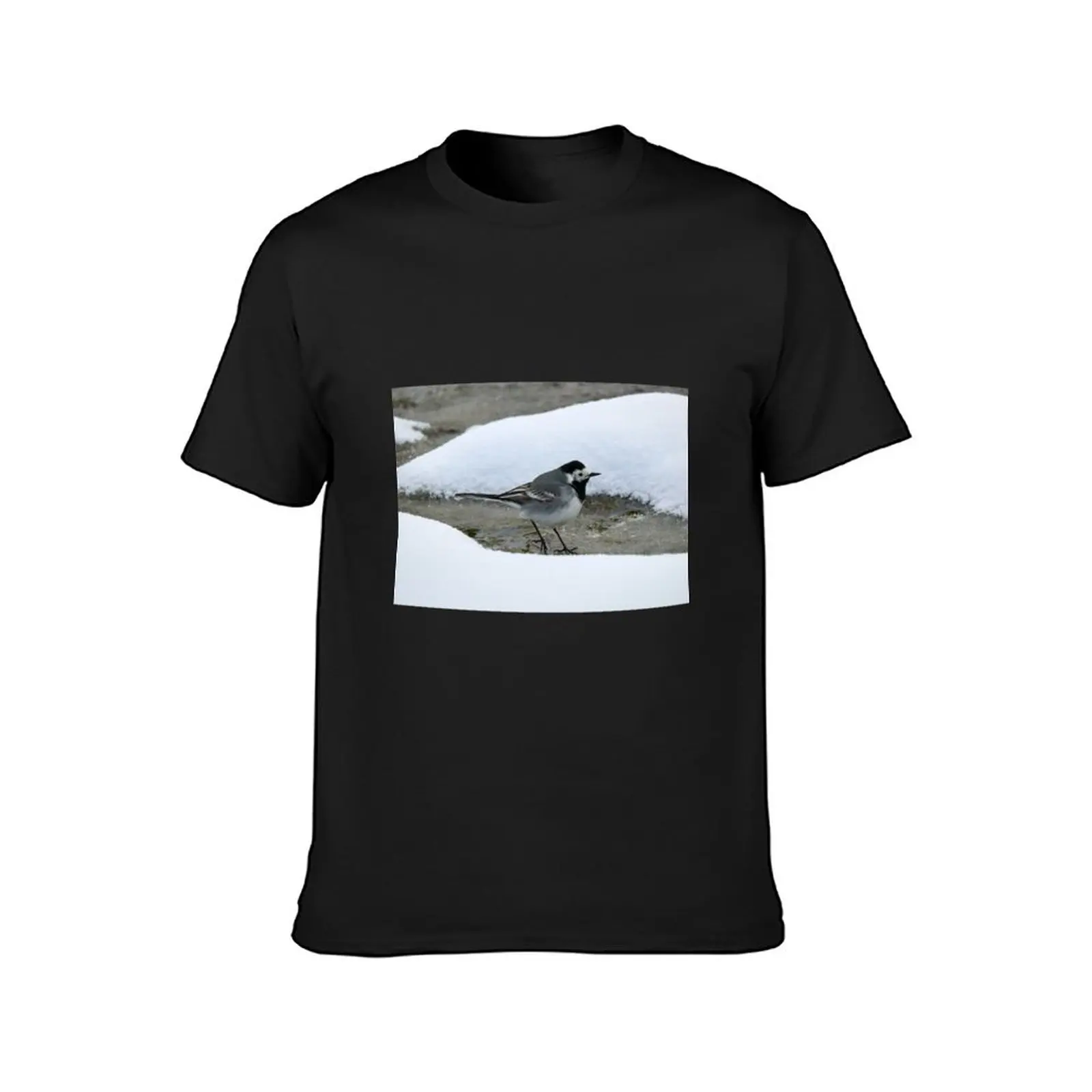 Surrounded by snow. White wagtail T-Shirt tops cute clothes anime clothes Men's cotton t-shirt