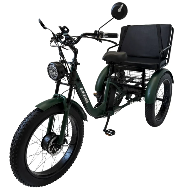 Familien-Elektrodreirad 3 Räder für Erwachsene 750W 48V 3-Rad-Elektrofahrrad für 2 Personen mit Korb Eltern-Kind-Elektrofahrrad