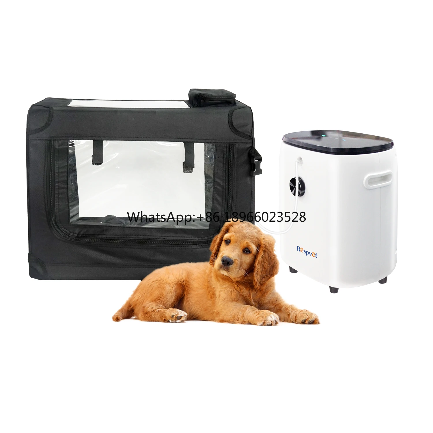 vet oxygen generator canine oxygen cage for medical use chamber