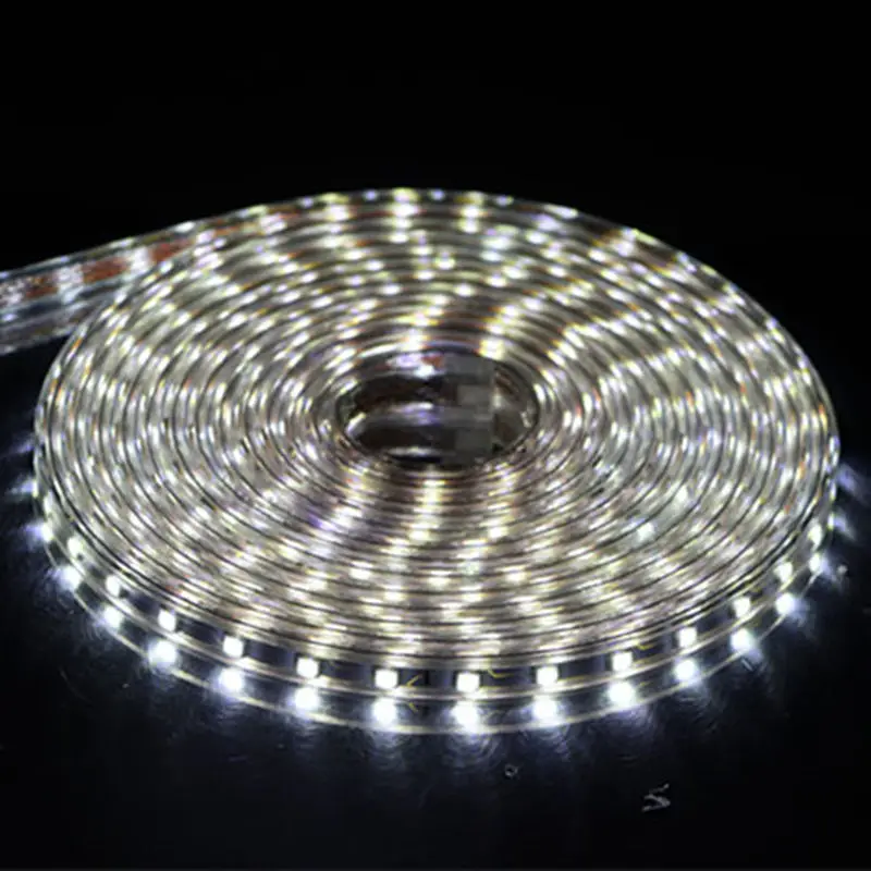 Tira de luz led flexible impermeable con enchufe para luz, SMD, 5050, AC220V, 60 leds/m, 1, 2, 3, 5, 6, 8, 9, 10, 15, 20m